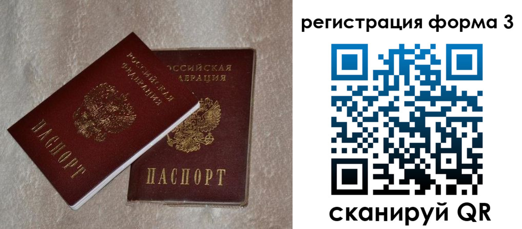 где прописаться в Электрогорске