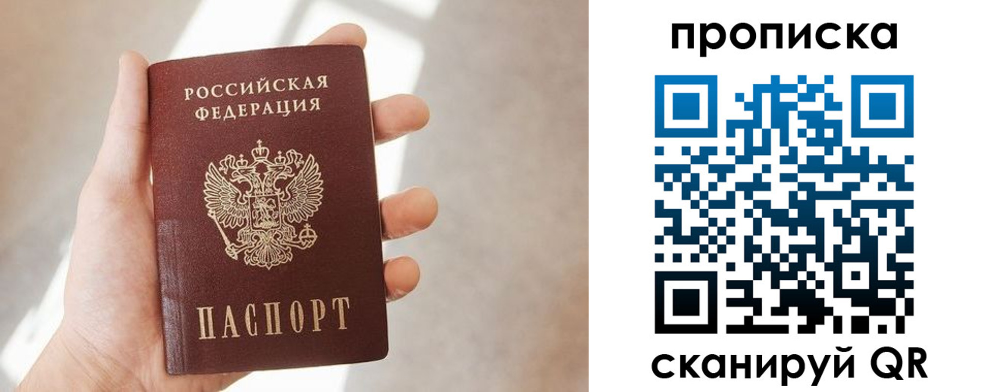 где прописаться в Электрогорске